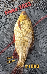 Sarv